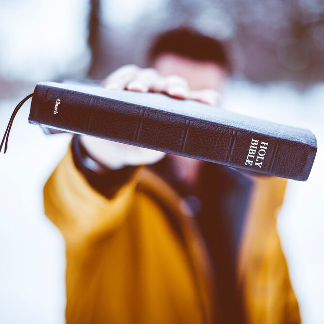 Quiz: Wissen über die Bibel