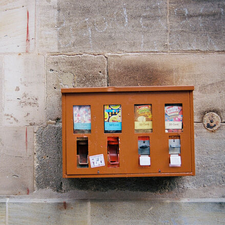 So schmeckt der Sommer