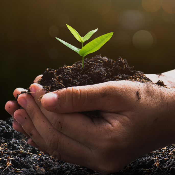 Franziskanische Lebensschule