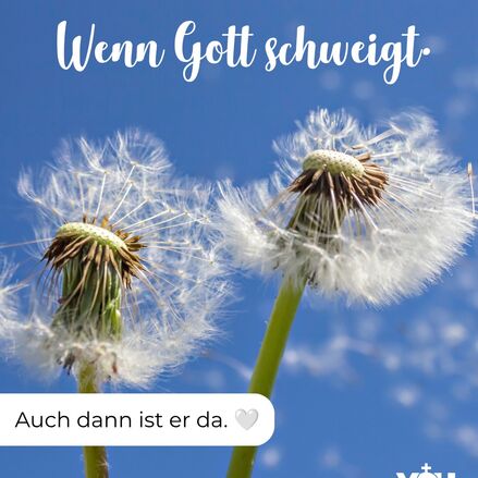 youpax.de