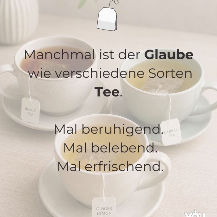 youpax.de